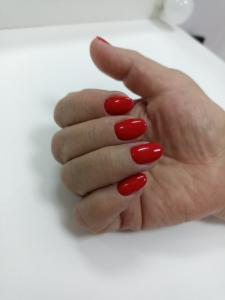 Фотография Бордо 5